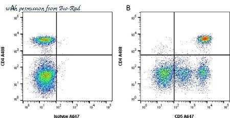 Bio-Rad MCA1037APC image 1