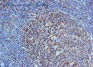 Bio-Rad AHP1822 image 1