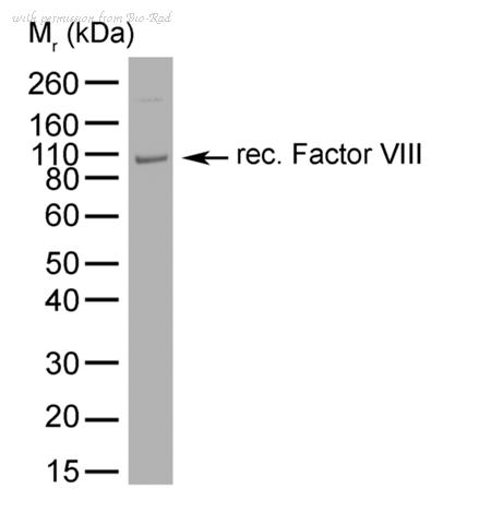Bio-Rad MCA4679 image 1