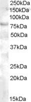 Bio-Rad AHP2020 image 1