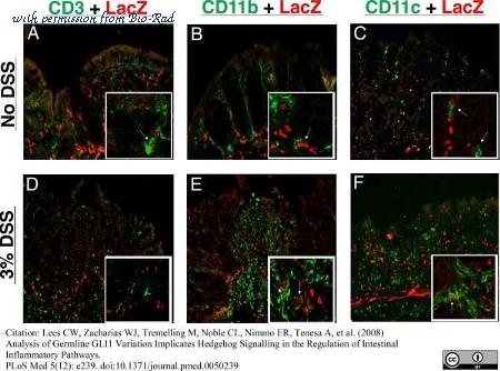 Bio-Rad MCA2690GA image 1