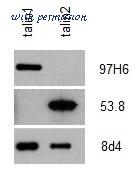 Bio-Rad MCA4771GA image 1