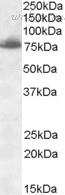 Bio-Rad AHP2251 image 1