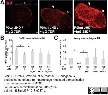 Bio-Rad PMP01X image 1