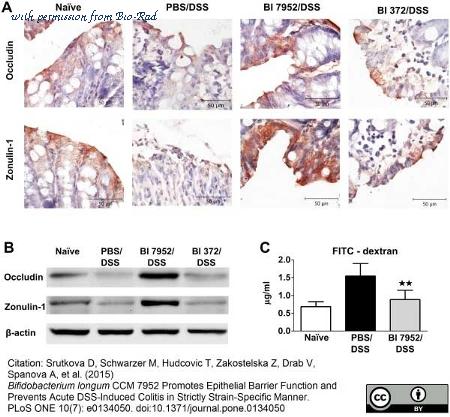 Bio-Rad BUF058A image 1