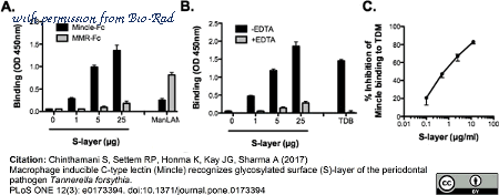 Bio-Rad BUF034B image 1