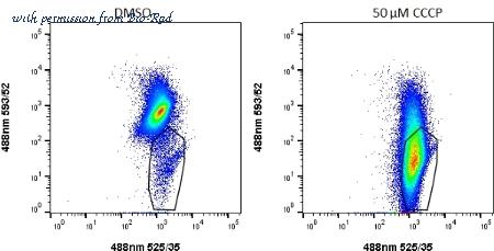 Bio-Rad ICT943 image 1