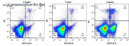 Bio-Rad ICT961 image 1