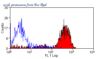 Bio-Rad MCA1095GA image 1
