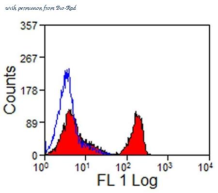 Bio-Rad MCA1078GA image 1