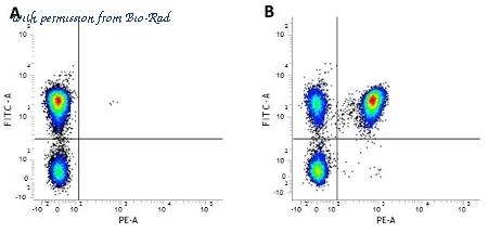 Bio-Rad MCA2184 image 1