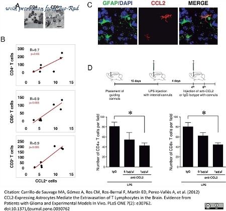 Bio-Rad AAM43 image 1
