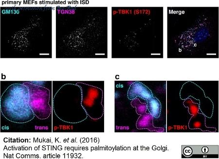 Bio-Rad AHP499 image 1