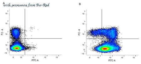 Bio-Rad MCA1014G image 1