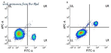 Bio-Rad MCA1271PE image 1