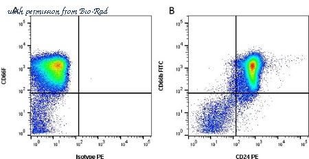 Bio-Rad MCA1379PE image 1