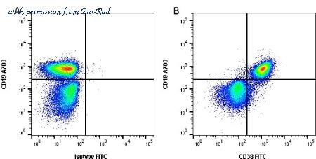 Bio-Rad MCA1511PE image 1