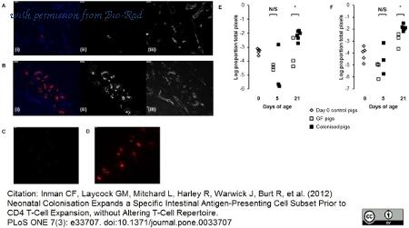 Bio-Rad MCA1752 image 1