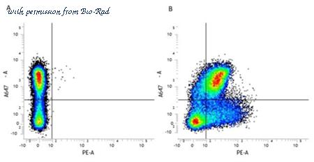 Bio-Rad MCA1958F image 1