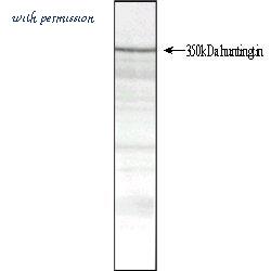 Bio-Rad MCA2050 image 1