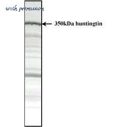 Bio-Rad MCA2051 image 1