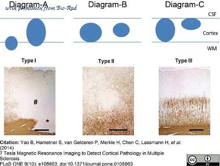 Bio-Rad MCA839G image 1