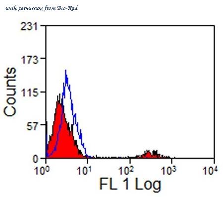 Bio-Rad MCA1576F image 1