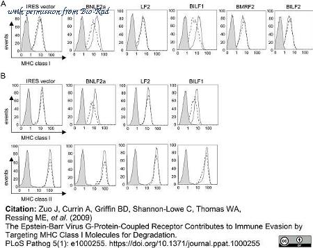 Bio-Rad MCA71PE image 1