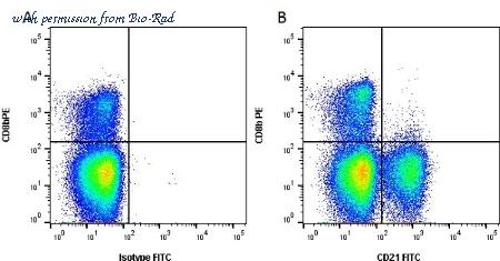 Bio-Rad MCA1424PE image 1
