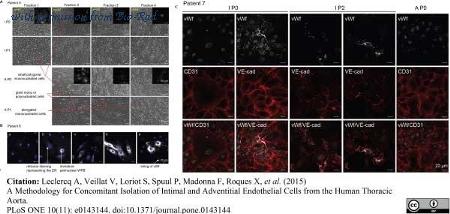 Bio-Rad AHP062T image 1