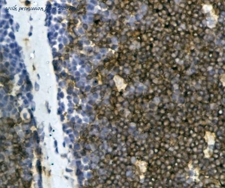 Bio-Rad MCA834GA image 1