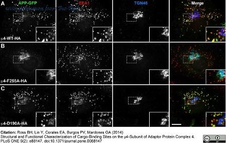 Bio-Rad AHP500G image 1