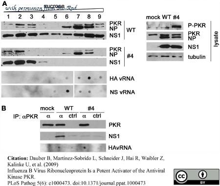Bio-Rad MCA403 image 1