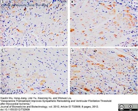 Bio-Rad AHP669 image 1