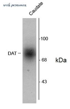 Bio-Rad AHP932 image 1