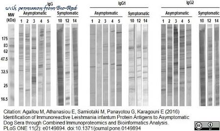 Bio-Rad AHP948P image 1