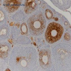 Bio-Rad MCA2246T image 1