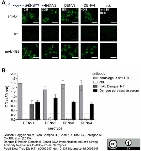 Bio-Rad MCA2277 image 1