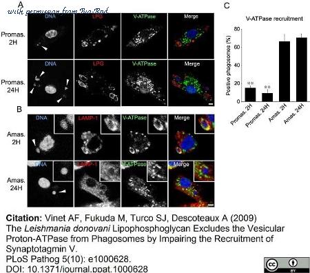 Bio-Rad OBT2002 image 1