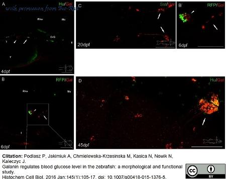 Bio-Rad 8330-0009 image 1
