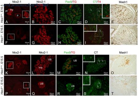 Bio-Rad 8959-9831 image 1