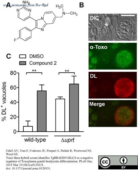 Bio-Rad 9070-0556 image 1