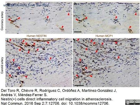 Bio-Rad OBT1610 image 1