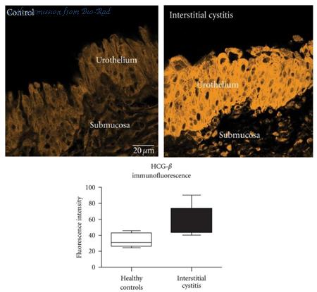Bio-Rad MCA329 image 1