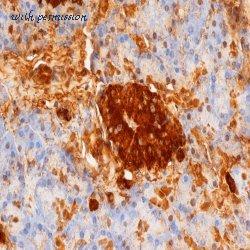 Bio-Rad 5330-3369 image 1