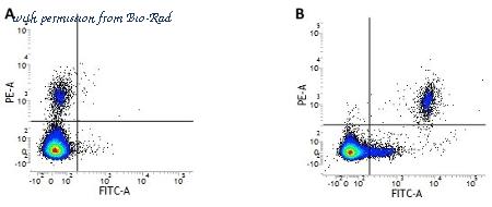 Bio-Rad MCA1710A647 image 1