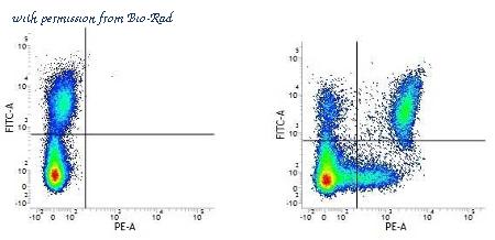 Bio-Rad MCA2087A647 image 1