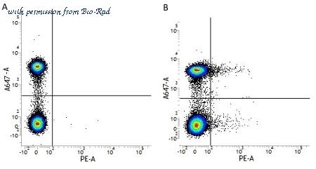 Bio-Rad MCA2127A488 image 1