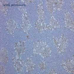 Bio-Rad MCA341A488 image 1