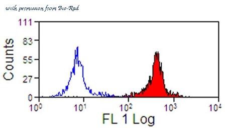 Bio-Rad MCA1081F image 1